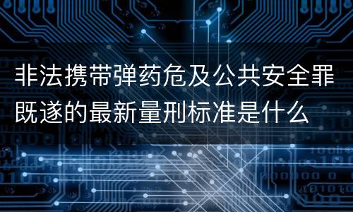 非法携带弹药危及公共安全罪既遂的最新量刑标准是什么