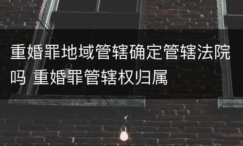 重婚罪地域管辖确定管辖法院吗 重婚罪管辖权归属