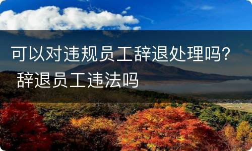 可以对违规员工辞退处理吗？ 辞退员工违法吗
