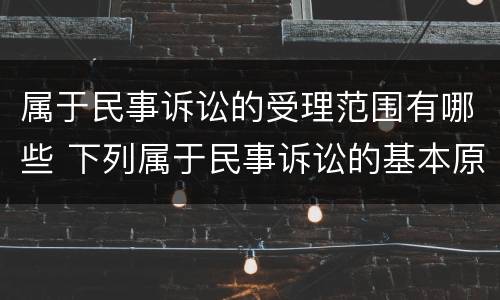 属于民事诉讼的受理范围有哪些 下列属于民事诉讼的基本原则和制度有