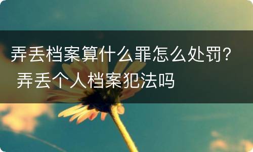 弄丢档案算什么罪怎么处罚？ 弄丢个人档案犯法吗