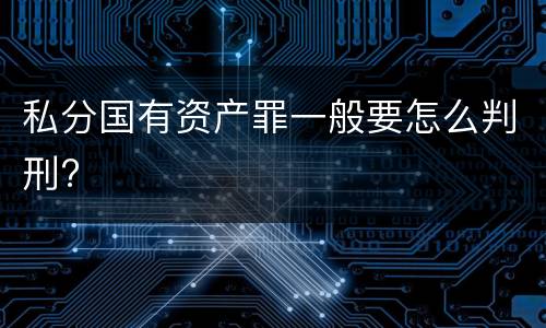 私分国有资产罪一般要怎么判刑?