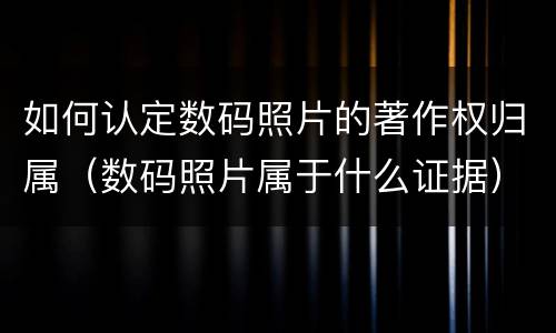 如何认定数码照片的著作权归属（数码照片属于什么证据）
