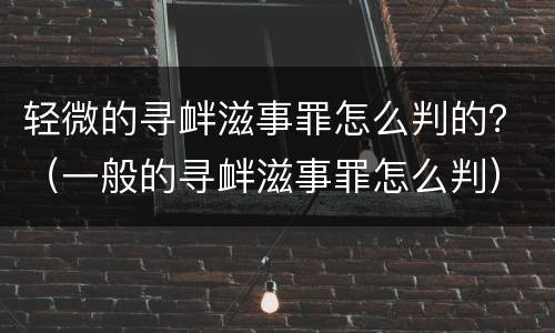 轻微的寻衅滋事罪怎么判的？（一般的寻衅滋事罪怎么判）