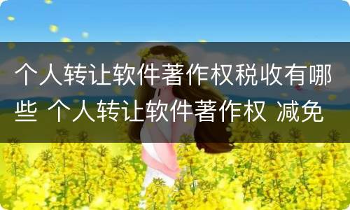 个人转让软件著作权税收有哪些 个人转让软件著作权 减免税收