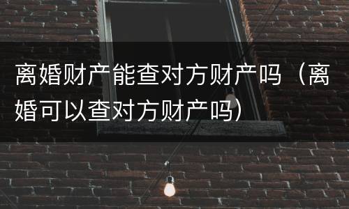 离婚财产能查对方财产吗（离婚可以查对方财产吗）