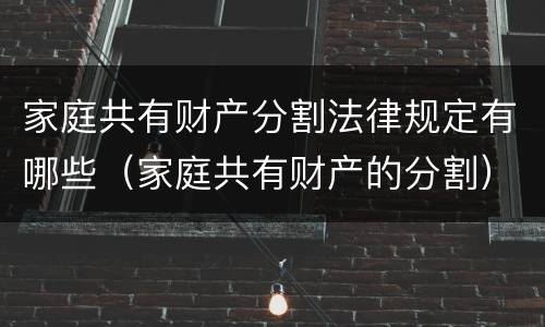 家庭共有财产分割法律规定有哪些（家庭共有财产的分割）