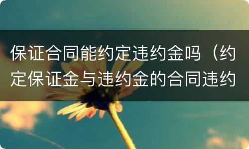 保证合同能约定违约金吗（约定保证金与违约金的合同违约后怎么办）