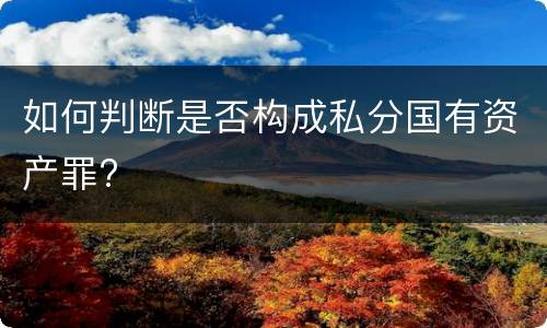 如何判断是否构成私分国有资产罪?