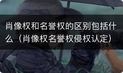 肖像权和名誉权的区别包括什么（肖像权名誉权侵权认定）