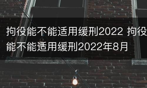 拘役能不能适用缓刑2022 拘役能不能适用缓刑2022年8月