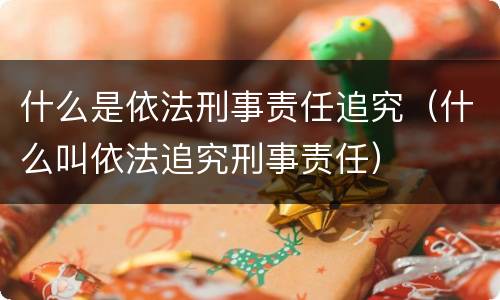 什么是依法刑事责任追究（什么叫依法追究刑事责任）