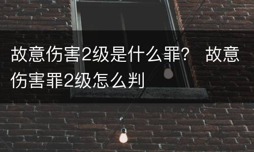 故意伤害2级是什么罪？ 故意伤害罪2级怎么判