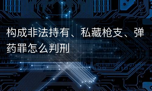 构成非法持有、私藏枪支、弹药罪怎么判刑