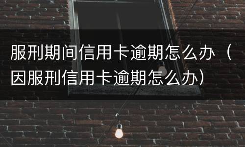 服刑期间信用卡逾期怎么办（因服刑信用卡逾期怎么办）