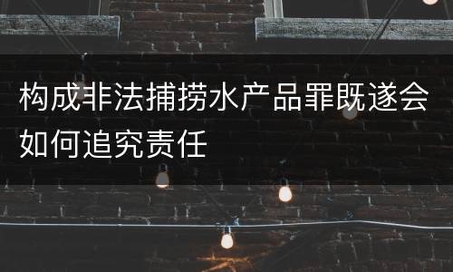 构成非法捕捞水产品罪既遂会如何追究责任
