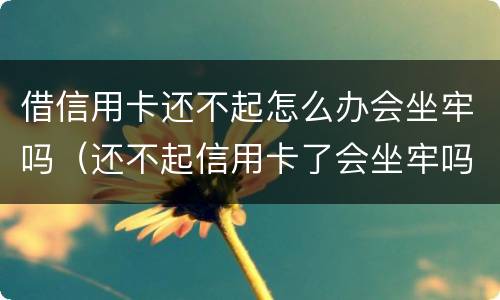 借信用卡还不起怎么办会坐牢吗（还不起信用卡了会坐牢吗）