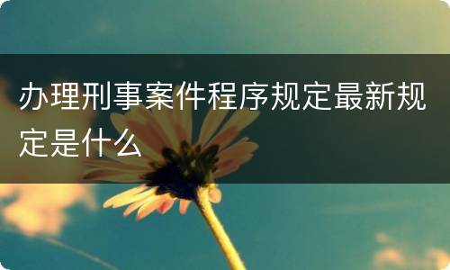 办理刑事案件程序规定最新规定是什么