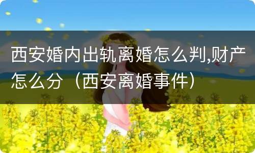 西安婚内出轨离婚怎么判,财产怎么分（西安离婚事件）