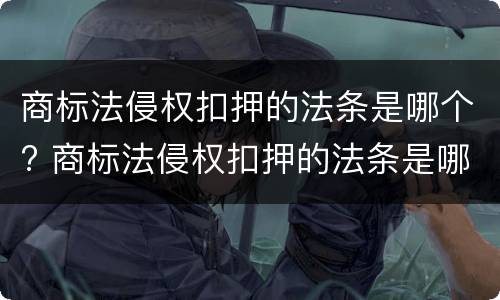 商标法侵权扣押的法条是哪个? 商标法侵权扣押的法条是哪个法律