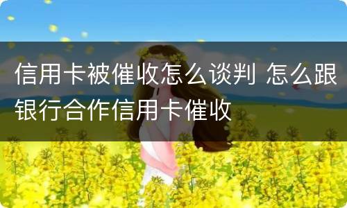 信用卡被催收怎么谈判 怎么跟银行合作信用卡催收