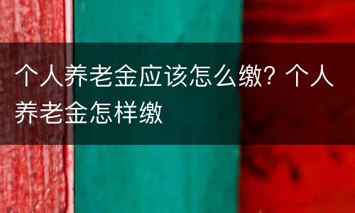 个人养老金应该怎么缴? 个人养老金怎样缴