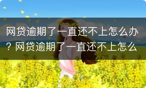 网贷逾期了一直还不上怎么办? 网贷逾期了一直还不上怎么办呢