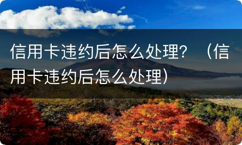 信用卡违约后怎么处理？（信用卡违约后怎么处理）