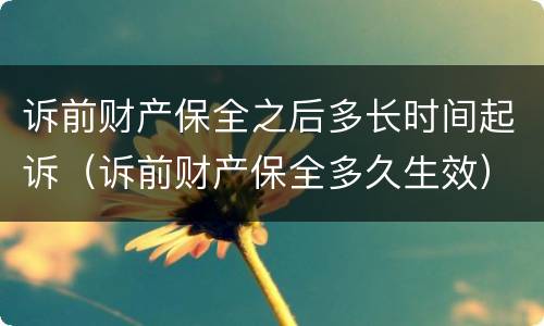 诉前财产保全之后多长时间起诉（诉前财产保全多久生效）