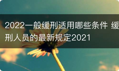 2022一般缓刑适用哪些条件 缓刑人员的最新规定2021