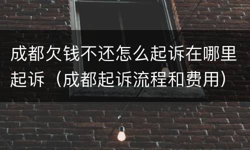 成都欠钱不还怎么起诉在哪里起诉（成都起诉流程和费用）