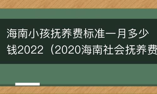 海南小孩抚养费标准一月多少钱2022（2020海南社会抚养费多少钱）