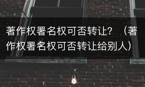 著作权署名权可否转让？（著作权署名权可否转让给别人）