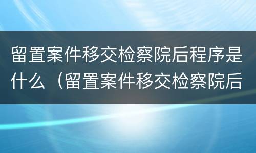 留置案件移交检察院后程序是什么（留置案件移交检察院后程序是什么样的）