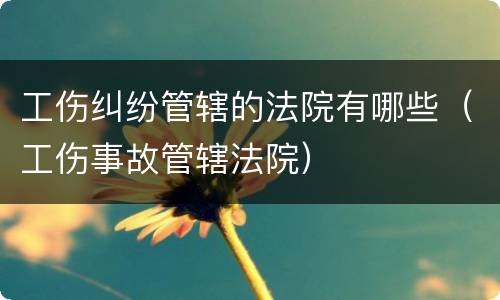 工伤纠纷管辖的法院有哪些（工伤事故管辖法院）