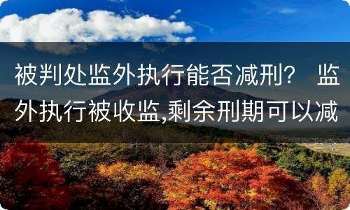 被判处监外执行能否减刑？ 监外执行被收监,剩余刑期可以减刑吗?