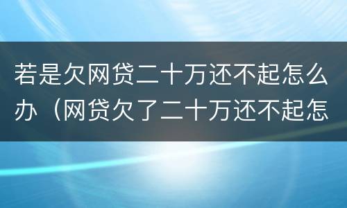 若是欠网贷二十万还不起怎么办（网贷欠了二十万还不起怎么办）