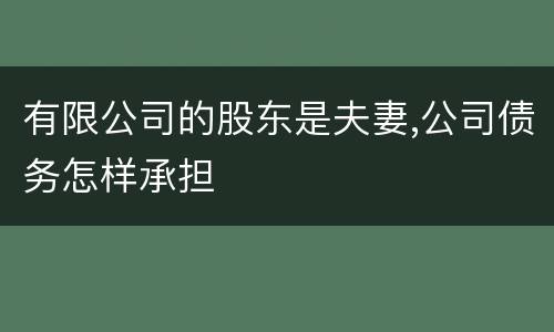 有限公司的股东是夫妻,公司债务怎样承担