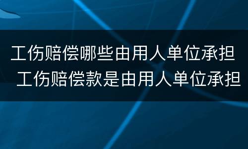 工伤赔偿哪些由用人单位承担 工伤赔偿款是由用人单位承担还是保险单位承担