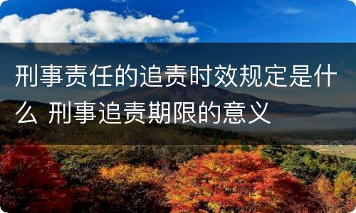 刑事责任的追责时效规定是什么 刑事追责期限的意义