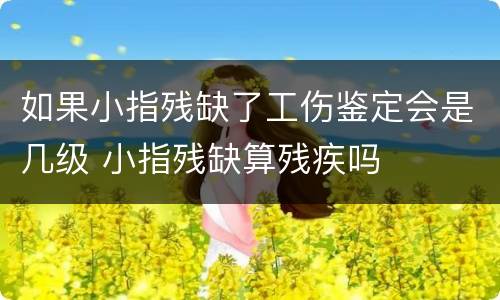 如果小指残缺了工伤鉴定会是几级 小指残缺算残疾吗