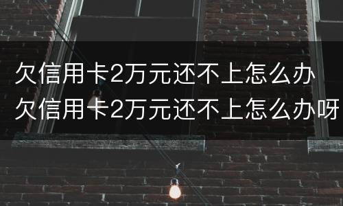 欠信用卡2万元还不上怎么办 欠信用卡2万元还不上怎么办呀