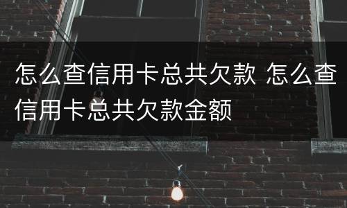 怎么查信用卡总共欠款 怎么查信用卡总共欠款金额
