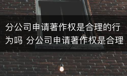 分公司申请著作权是合理的行为吗 分公司申请著作权是合理的行为吗为什么