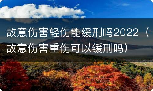 故意伤害轻伤能缓刑吗2022（故意伤害重伤可以缓刑吗）