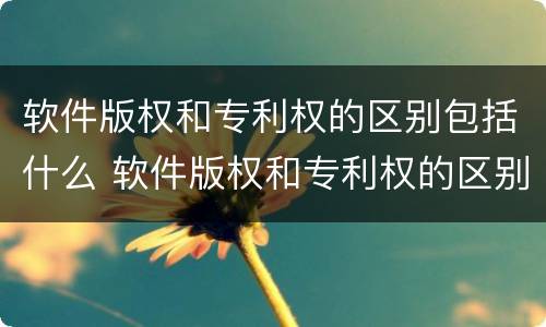 软件版权和专利权的区别包括什么 软件版权和专利权的区别包括什么和什么