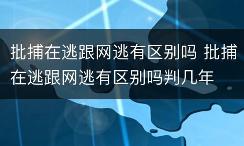 批捕在逃跟网逃有区别吗 批捕在逃跟网逃有区别吗判几年