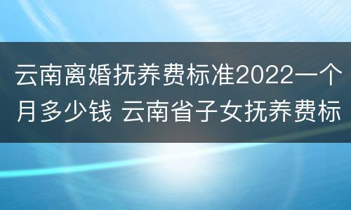 云南离婚抚养费标准2022一个月多少钱 云南省子女抚养费标准