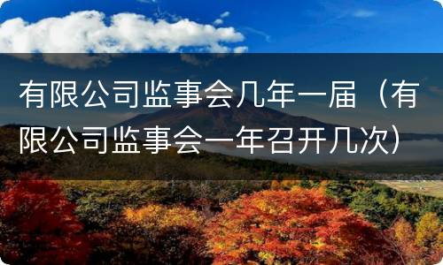 有限公司监事会几年一届（有限公司监事会一年召开几次）