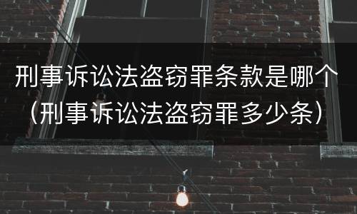 刑事诉讼法盗窃罪条款是哪个（刑事诉讼法盗窃罪多少条）